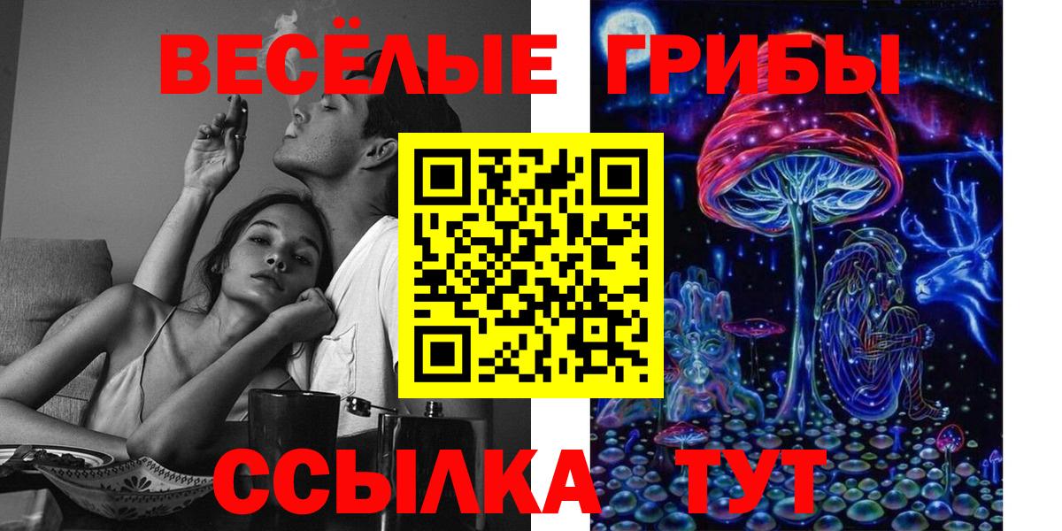 Галлюциногенные грибы MAGIC MUSHROOMS Выкса
